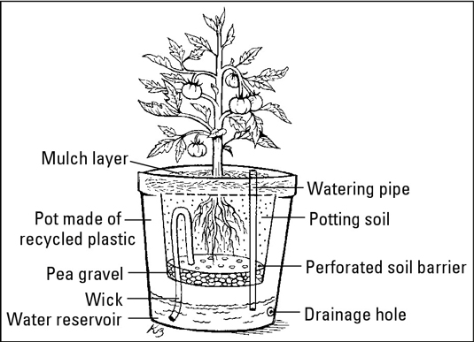 Come scegliere i vasi per il tuo giardino in vaso