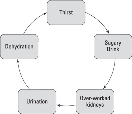 L'importanza dell'idratazione e delle bevande a basso contenuto di carboidrati