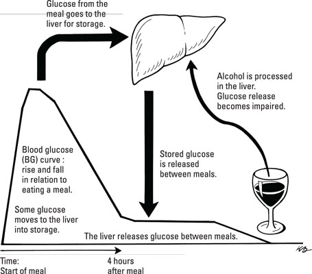 In che modo l'alcol influisce sulla regolazione del glucosio