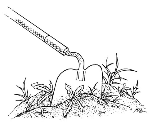 Dieci strumenti per giardinieri urbani
