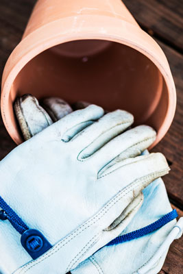 Dieci strumenti per giardinieri urbani