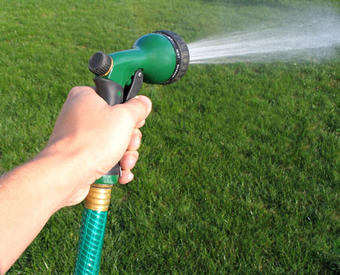 Dieci strumenti per giardinieri urbani