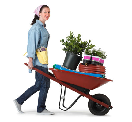 Dieci strumenti per giardinieri urbani