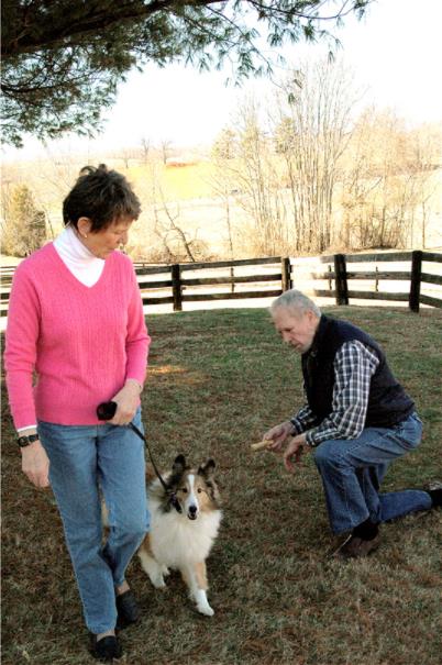 Una raccolta di immagini da Canine Good Citizen Test In A Day For aFamilyToday