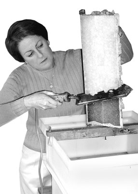 Estrazione del miele da un telaio Langstroth